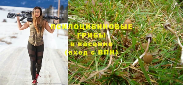 бутират Заводоуковск