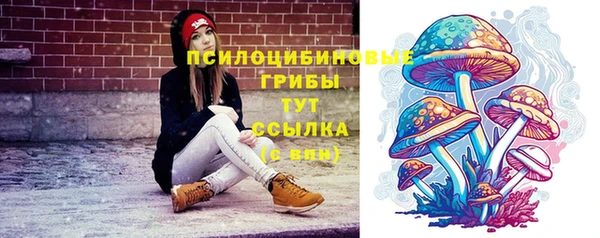 бутират Заводоуковск